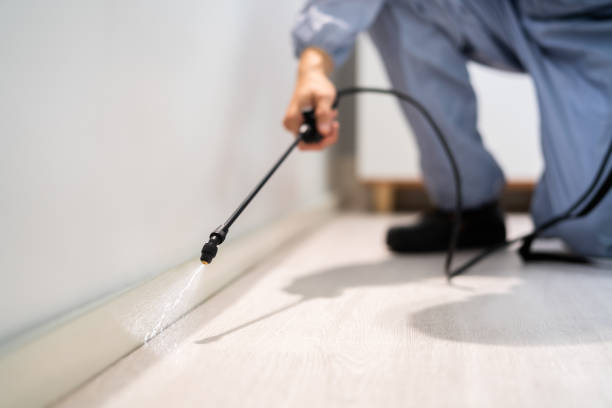 Licensed Cockroach Control service in Duchesne County County, UT - Nex Pest Control